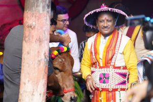 1722758252_462ed346b6a33006ea37