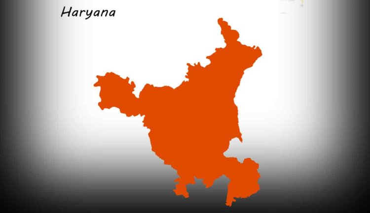 image_750x_66bef5ef092fc