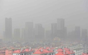 air-pollution-12-11-24-0012