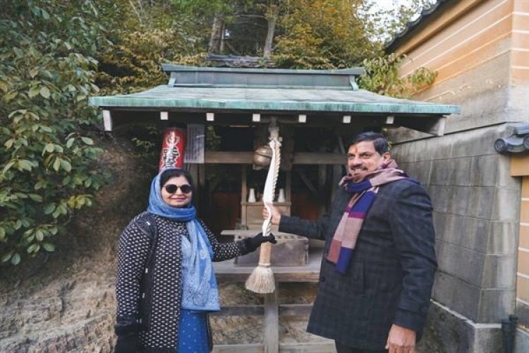 image_750x_679cce8610860