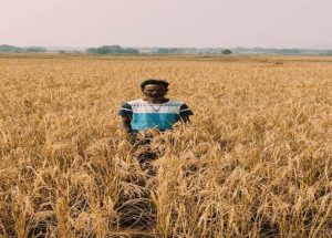 1741191025_f52534cc71b39d54df3b