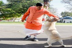 TN5-Bhopal180325072150