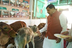 TN5-Bhopal250325040913