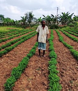 1744898966_07ec9bbf59501488c511 (1)