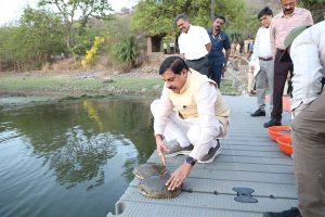 TN5-Bhopal100525125536