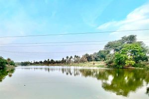 TN5-Bhopal270525024954