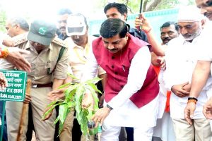 TN5-Bhopal030625081712