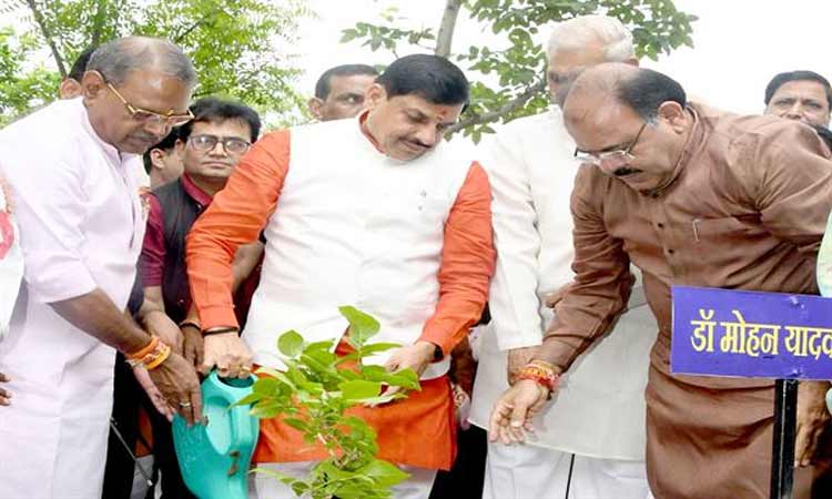 mp-cm-22-7-25-4133