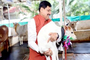 TN5-Bhopal140925110710