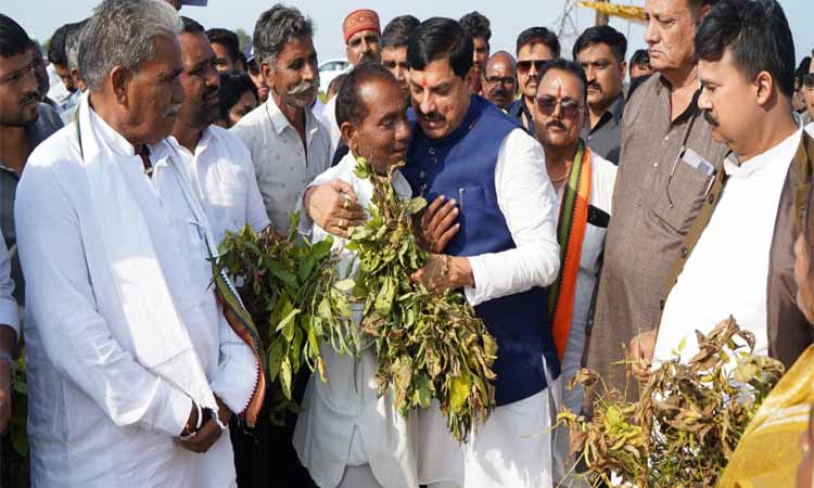 mp-cm-12-9-25-85288