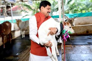 TN5-Bhopal161025080347
