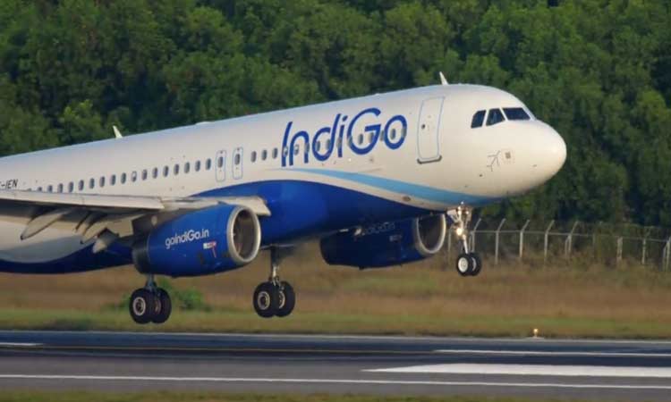 indigo-filati