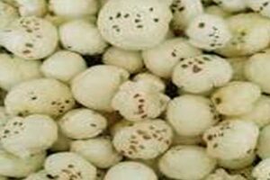 makhana