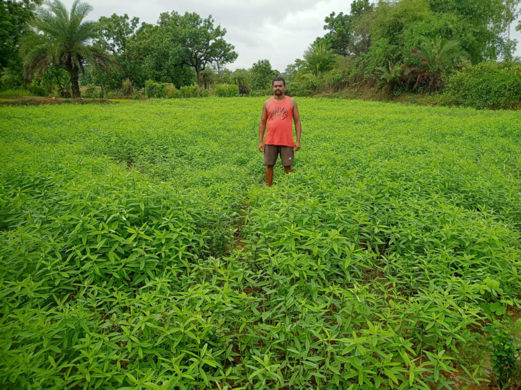 1770642676_b36d8eb8b4287a57e76f