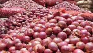 onion