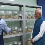मन की बात में पीएम मोदी ने की ब्रेन रिसर्च की चर्चा, 100 मानव मस्तिष्कों की होगी 3D मैपिंग